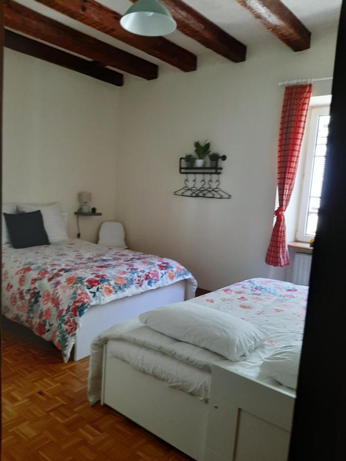 N¨°1 Schongauer Gite De Charme Centre Touristique Colmar Ngoại thất bức ảnh