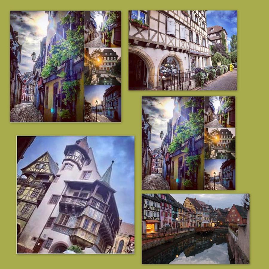 N¨°1 Schongauer Gite De Charme Centre Touristique Colmar Ngoại thất bức ảnh