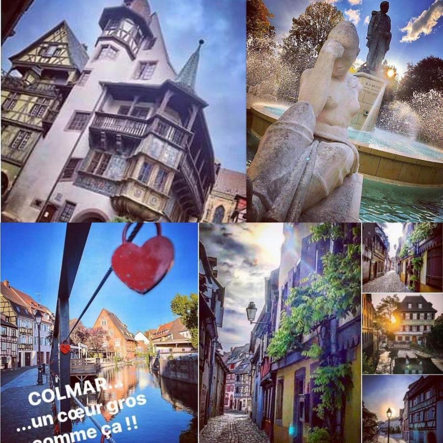 N¨°1 Schongauer Gite De Charme Centre Touristique Colmar Ngoại thất bức ảnh